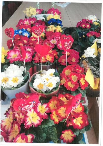 Usposabljanje članov DI Ajdovščina – Vipava