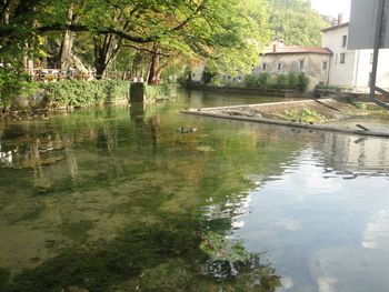 Odprto pismo županu g. Goranu Kodelji
