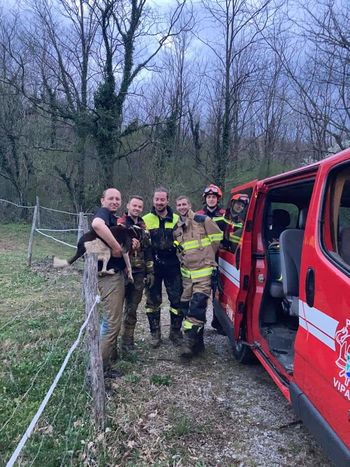 Iz rova rešili psičko Lusi