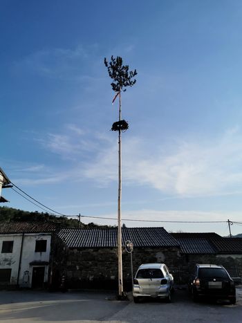 Postavljanje mlaja v Gaberjah včasih in danes
