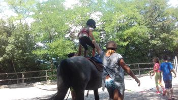 Počitniško varstvo