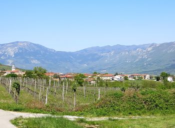 Ob 80. letnici požiga na Slapu pri Vipavi Ob 80. letnici požiga na Slapu pri Vipavi