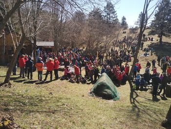 Mala gora pomladno sveža in s soncem obsijana Mala gora pomladno sveža in s soncem obsijana