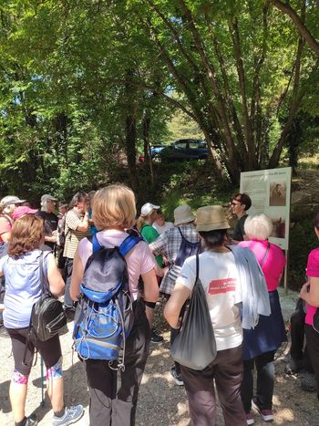 Izteklo se je pestro Lokarjevo leto