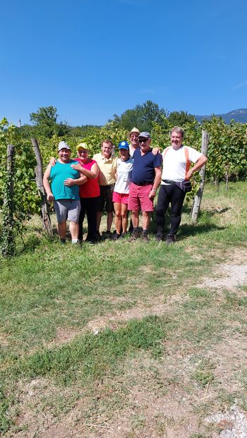 Društvo Abstinent v trgatvi