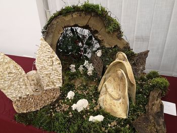 Božični čudež v Vipavskem Križu