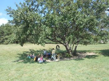 Učilnica pod drevesom