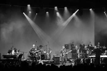 Izštekani Big Elevators Band