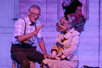 Tokrat v Kulturnem domu v Vipavi: Nič resnega!