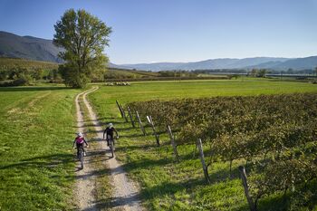 Kako zadržati turiste v Vipavski dolini dlje?