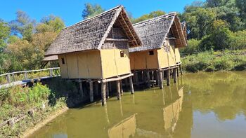 S krožkom Spoznavanje narave na obisk h koliščarjem