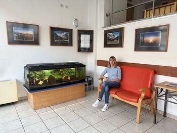 'Tu sem doma' - razstava v Domu upokojencev Nova Gorica