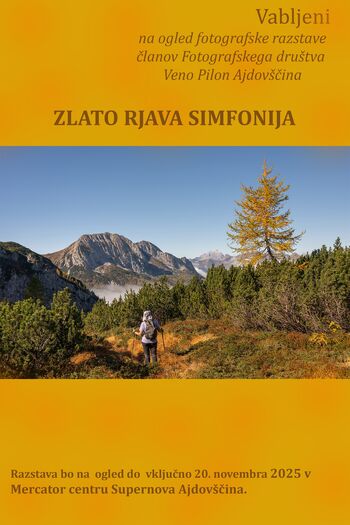 Zlato rjava simfonija Zlato rjava simfonija