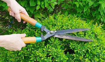 Pomoč starejšim pri urejanju okolice Pomoč starejšim pri urejanju okolice