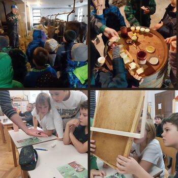 Naravoslovni dan na podružnični šoli Goče