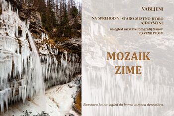 Mozaik zime v 'Nanosu'
