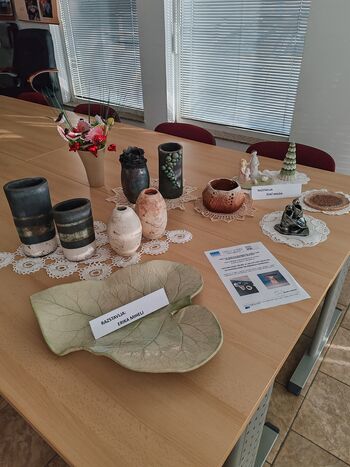 Mednarodni dan invalidov na DI Ajdovščina–Vipava: odprtje razstave 'Skupaj zmoremo'