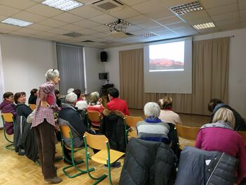 Čavenske rožice skozi letne čase