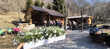 Pohodnice na Mali gori ponovno obdarjene z znanilci pomladi