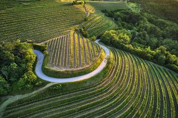100.000 evrov za turistično kampanjo na kanadskem trgu 100.000 evrov za turistično kampanjo na kanadskem trgu
