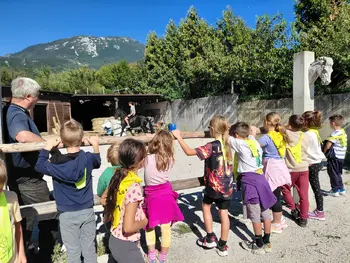 Od kokoši do traktorja – dan na kmetiji pri Rebkovih