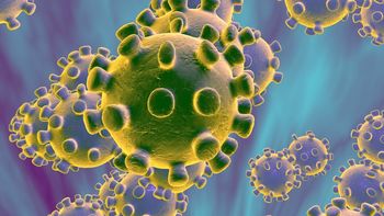 Napotki in gradiva o koronavirusu