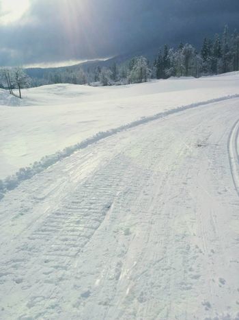 Tekaške proge v Hotedršici odlično urejene Tekaške proge v Hotedršici odlično urejene