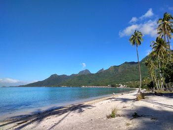 Bert Logar: Po svetu v dvoje