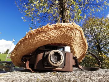 Lado Jakša in Zeleni oblaki: Cesta zna ljubiti, reka tudi