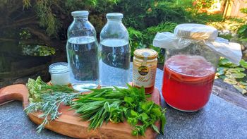 Uroš Švigelj: Fermentacija divjih napojev