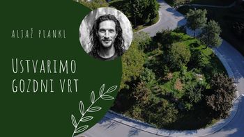 Aljaž Plankl: Ustvarimo gozdni vrt