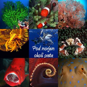 Andrej Voje: multimedijska predstavitev Pod morjem okoli sveta