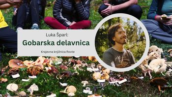 Luka Šparl: Gobarska delavnica