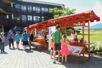Brezplačno družinsko ekodoživetje v objemu narave
