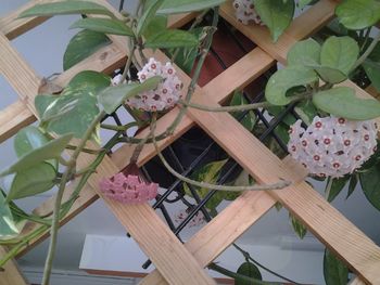 PRIJETNO SREČANJE STAREJŠIH KRAJANOV NA GORENJU