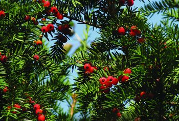 Moja Ljubljanica novice št. 20 Moja Ljubljanica novice št. 20