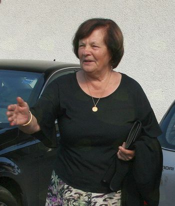 Ena od prvih "Lisičk" Ena od prvih "Lisičk"