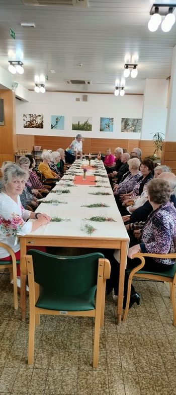 DRUŠTVO UPOKOJENCEV SEVNICA NA POTI V POLETJE