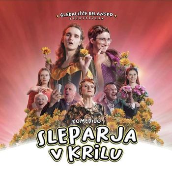 Komedija: Sleparja v krilu