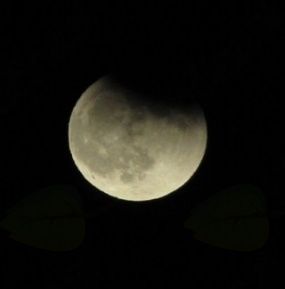 NOČNE LEPOTE NA KANINU 