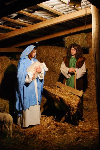 Žive jaslice v ZOO parku Rožman v prenovljeni podobi Žive jaslice v ZOO parku Rožman v prenovljeni podobi