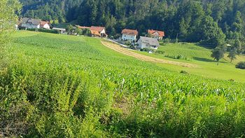 Zadnji rok za oddajo vloge za spremembo namembnosti zemljišč