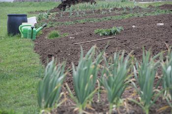 Samoskrba v času koronavirusa