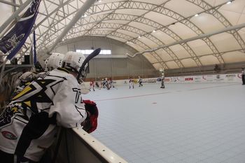 Inline hokejisti so začeli s treningi in pripravami na prve tekme