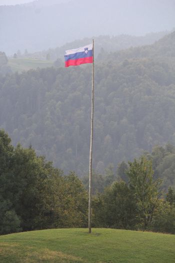 Slovenska zastava v čast domovini