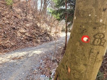 Občina uredila planinsko pot na Koreno