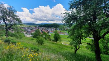 Fotonatečaj Lepote horjulske doline kot priložnost za dobre ideje