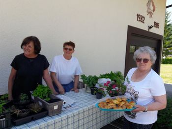 Zelemenjava na Vrzdencu