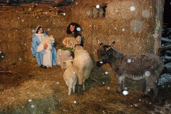 Žive jaslice v Zoo Park Rožman