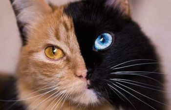 SE ŽELITE RAZUMETI? - delavnica za odrasle